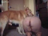Homemade bestiality porn with horny whore